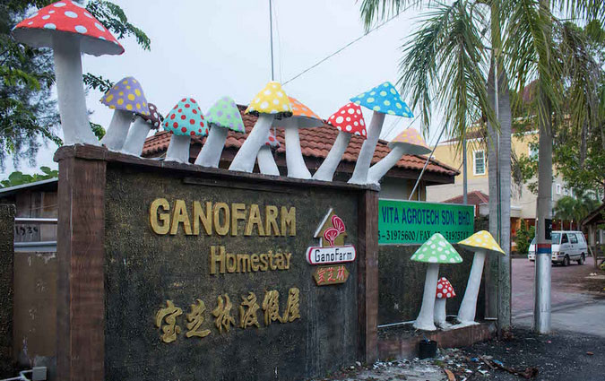 ganofarm2.jpg