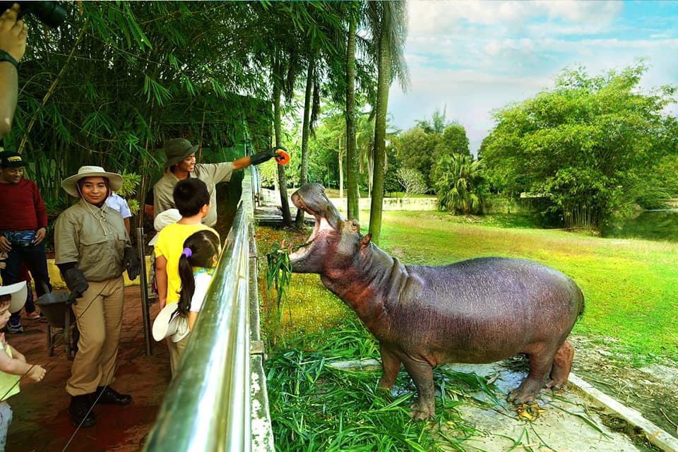 Paya Indah Wetlands Gamuda Cove